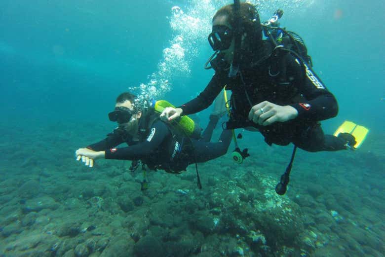 Curso Scuba Diver