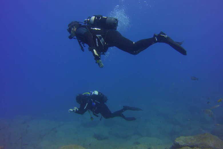 Mergulhando em Tenerife