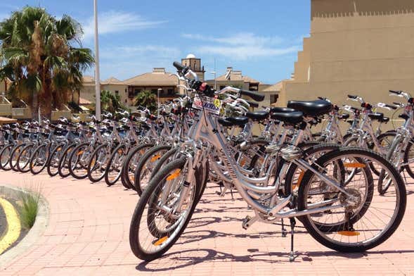 Alquiler de bicicleta en el sur de Tenerife