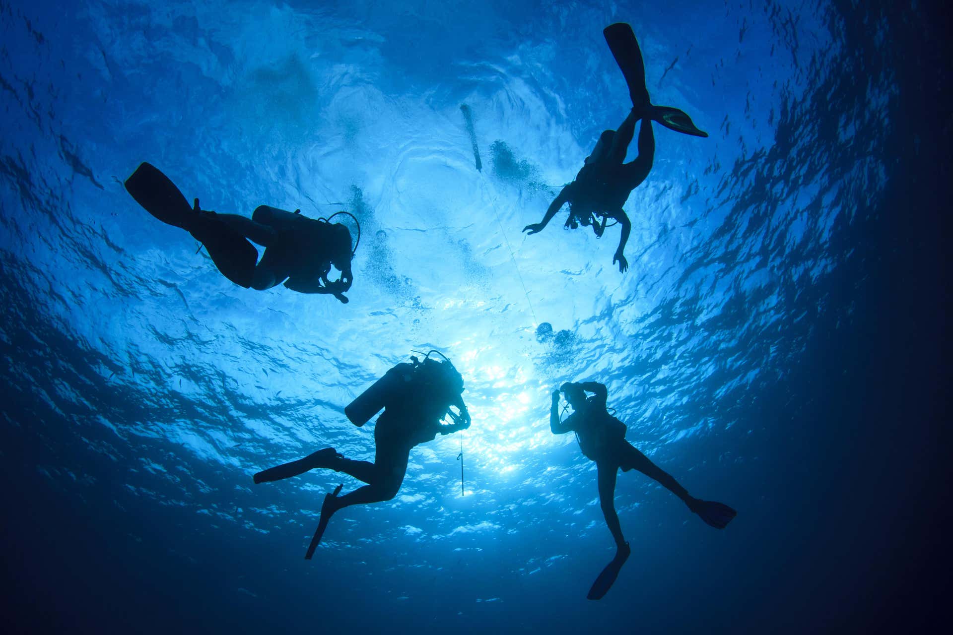 Immersione per principianti a Los Cristianos