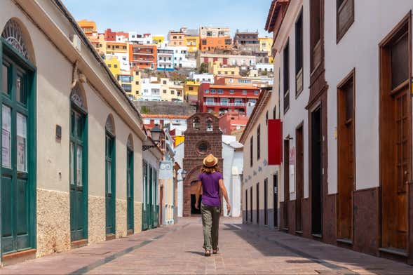 Excursión a La Gomera desde el sur de Tenerife