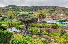 Excursión al Teide, Icod, Masca y Garachico desde el sur de Tenerife