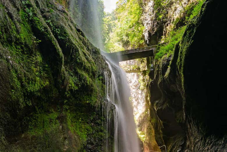 Cascata nel bosco di Los Tilos