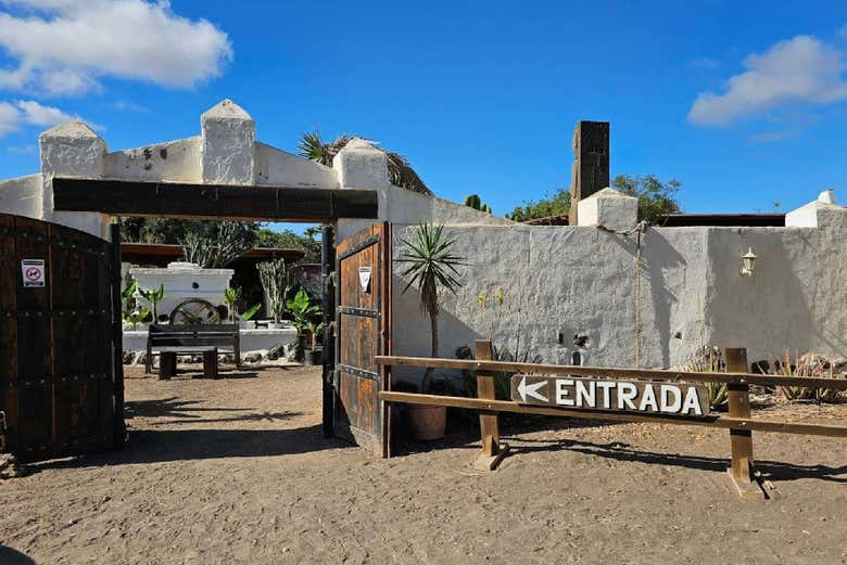L'ingresso del Camel Park, nel sud di Tenerife