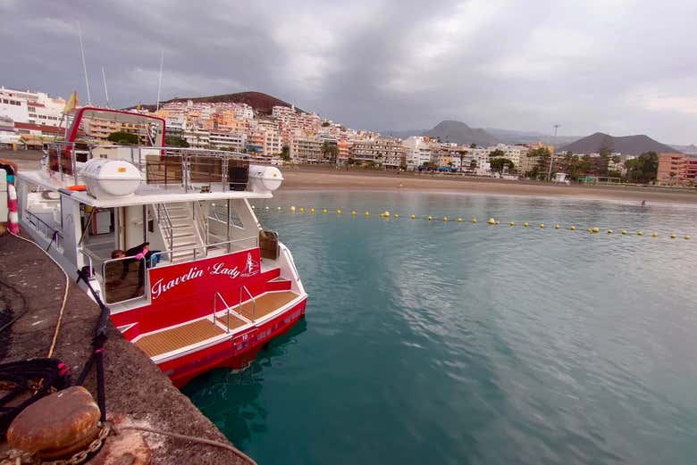 Observation de cétacés à Los Cristianos