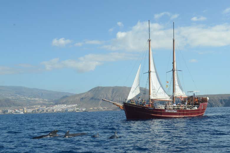 Admirando a costa do sul de Tenerife