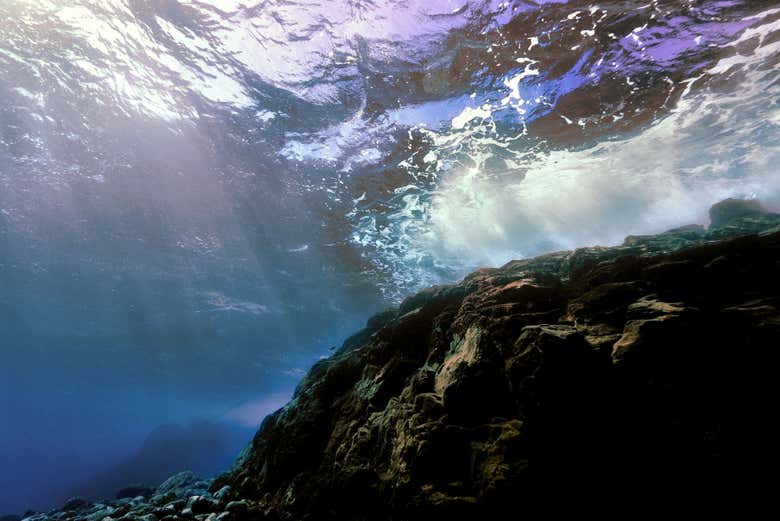 Swimming in the Atlantic Ocean