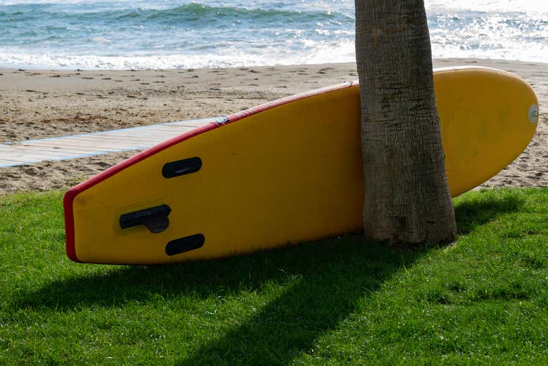 Uma prancha de paddle surf em uma palmeira