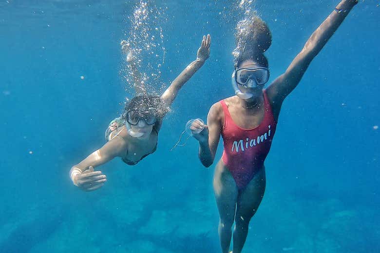Faites du snorkeling dans le sud de Tenerife