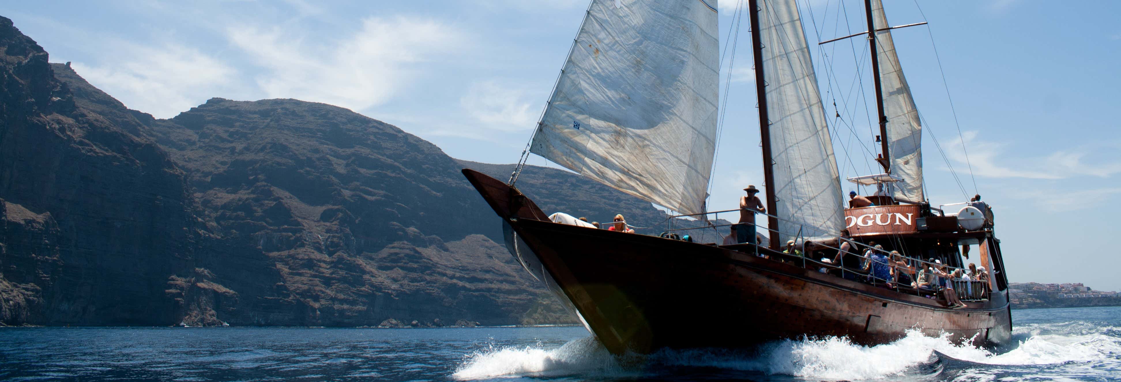 Paseos en barco en Los Gigantes