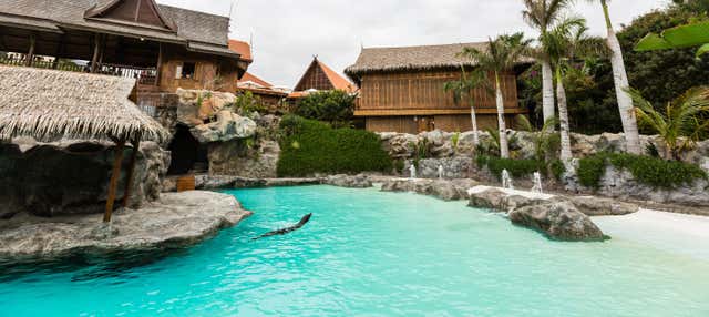 Excursão ao Siam Park com ingresso saindo do sul de Tenerife