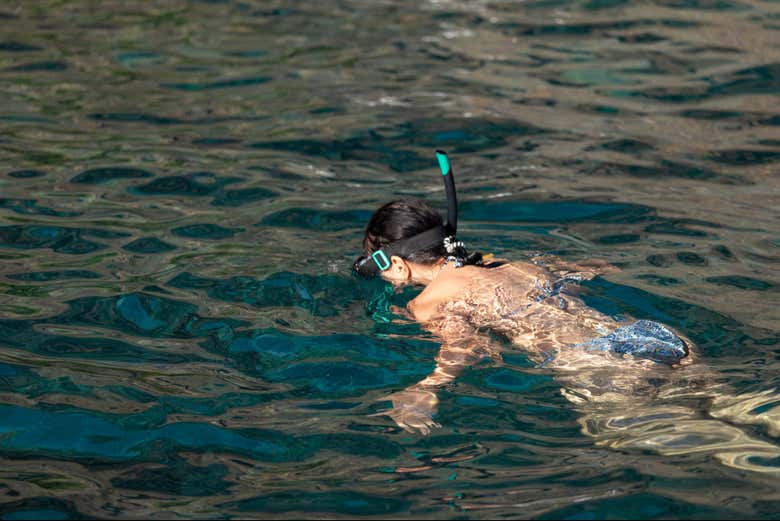 Snorkel