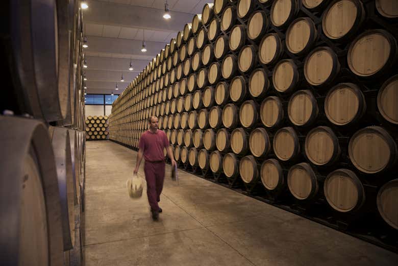 Interior de la bodega Finca Antigua