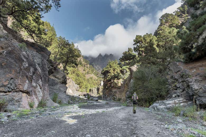 Barranco de Las Angustias