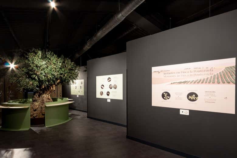 Centro de Interpretação do Olivar