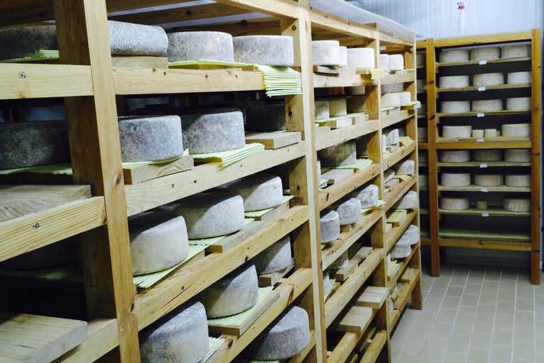 Visitando una típica quesería manchega en Los Navalucillos