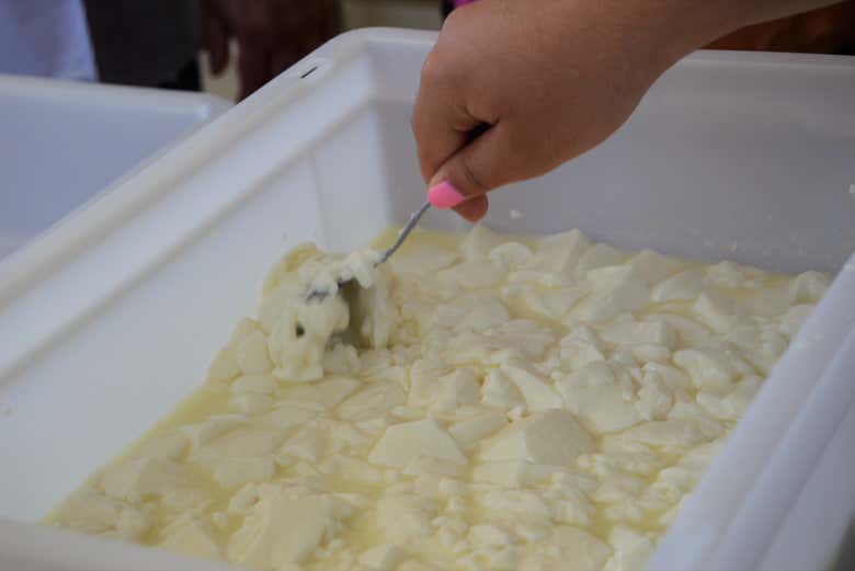 Taller de quesos en Los Navalucillos