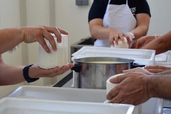 Taller de queso en Los Navalucillos
