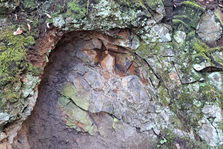 Descubriremos cómo la naturaleza influye en la brujería