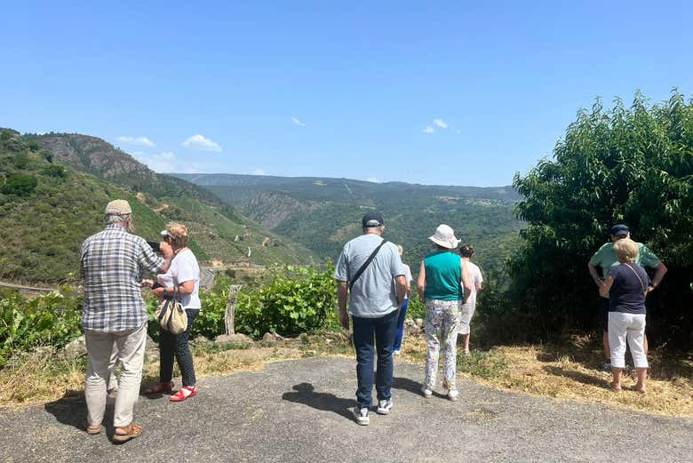 Visitando los viñedos de la Ribeira Sacra