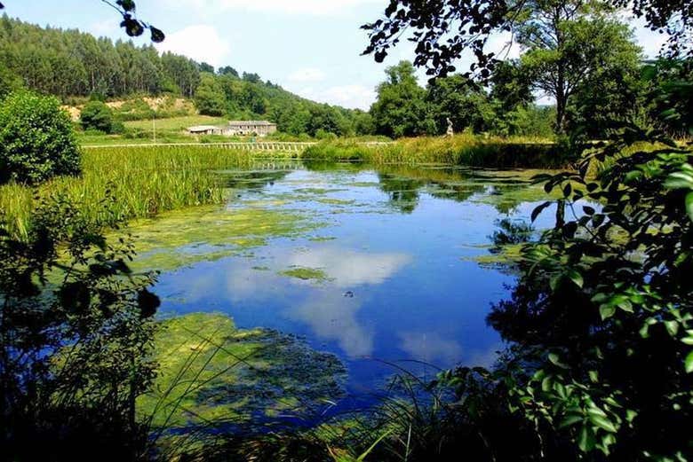 Lagoa de Fonmiñá