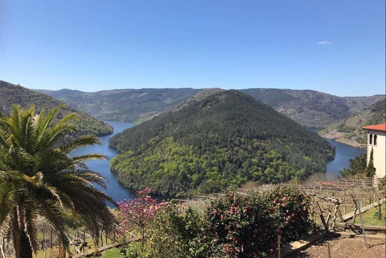 Paysages de la Ribeira Sacra de Lugo