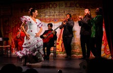 Espectáculo en Flamenco de Leones