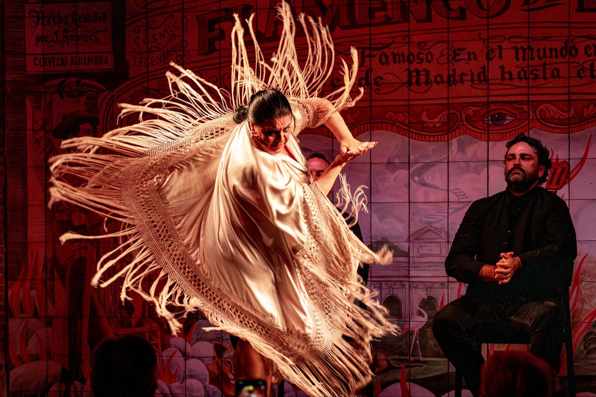 Espectáculo en el tablao Flamenco de Leones, Madrid