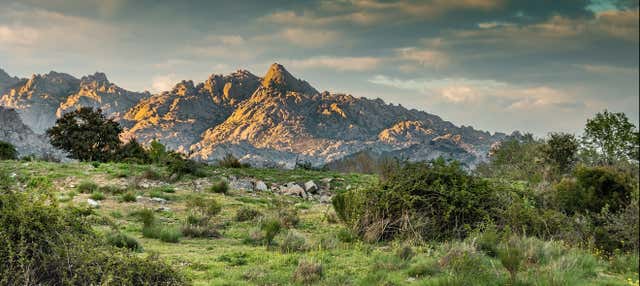 Excursión al Parque Nacional de la Sierra de Guadarrama