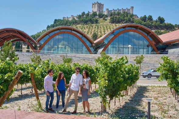 Excursión a Segovia y el castillo de Peñafiel + Bodega Protos