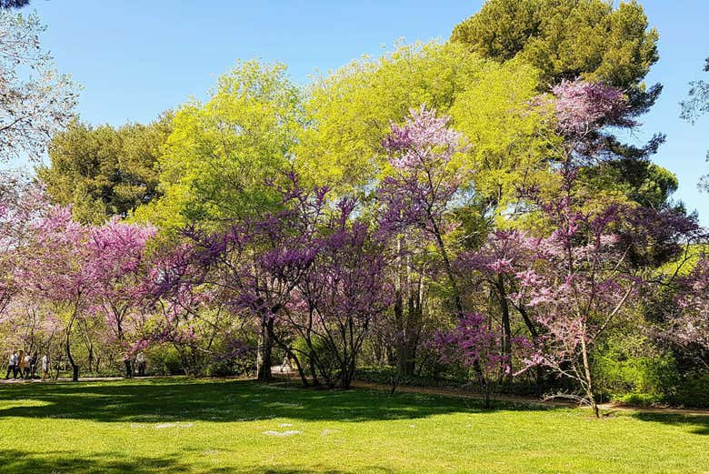 Tour por el Parque El Capricho