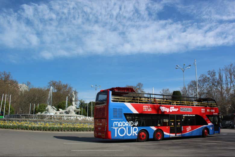 Junto a la plaza de Cibeles