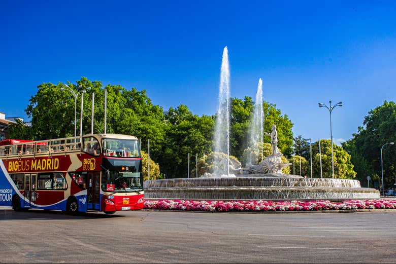 Autobús turístico pasando por Neptuno