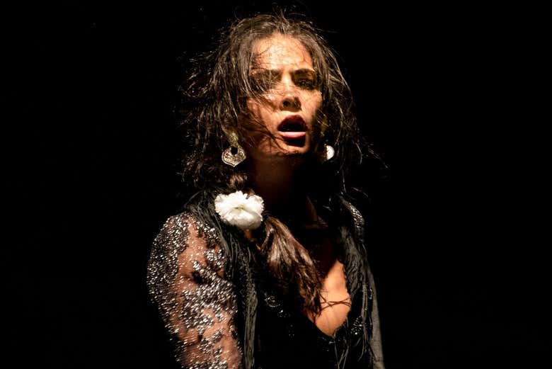 Una bailaora en pleno espectáculo