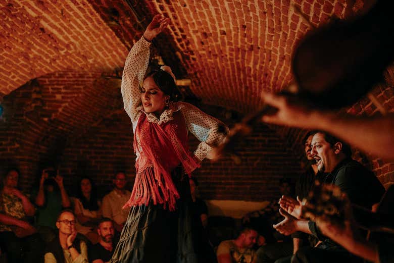 Una ballerina di flamenco
