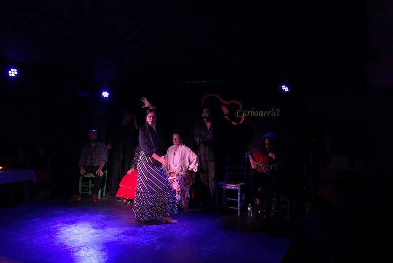 Artistas do flamenco