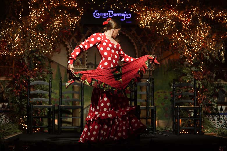 Spectacle de flamenco à Torres Bermejas