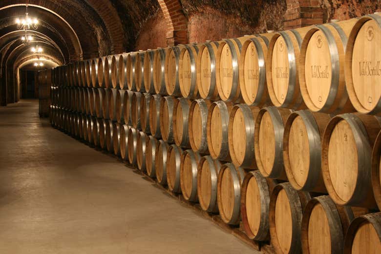 Visitando le cantine