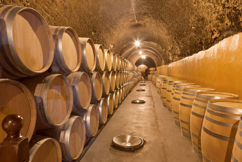 Una tradicional bodega en la Ribera del Duero