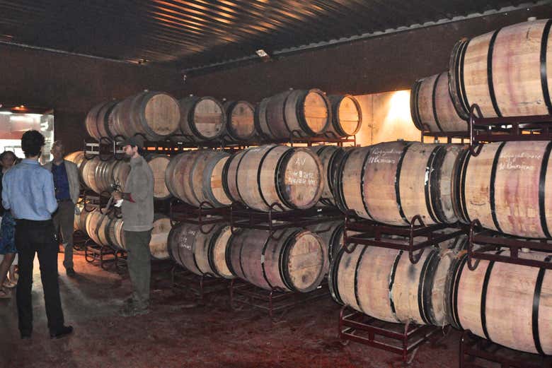 Tagus Valley Wineries