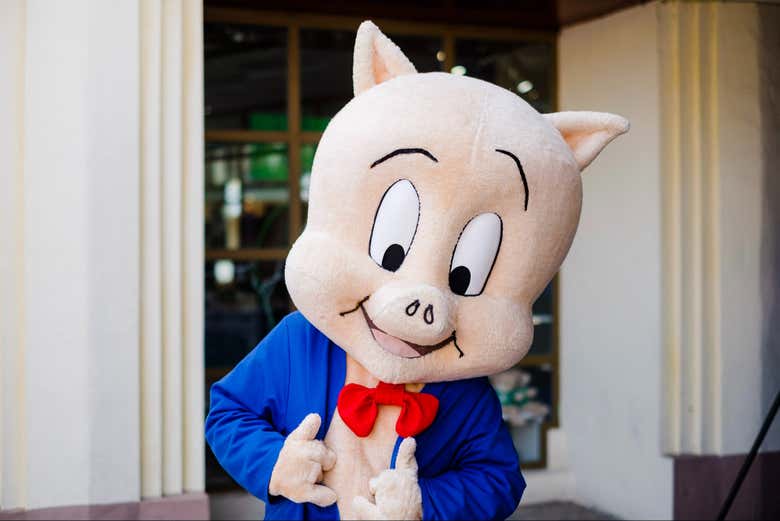 O Porky dá as boas-vindas a você ao Parque Warner!