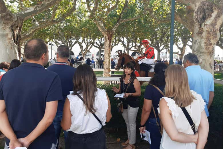 Conociendo el Hipódromo de la Zarzuela