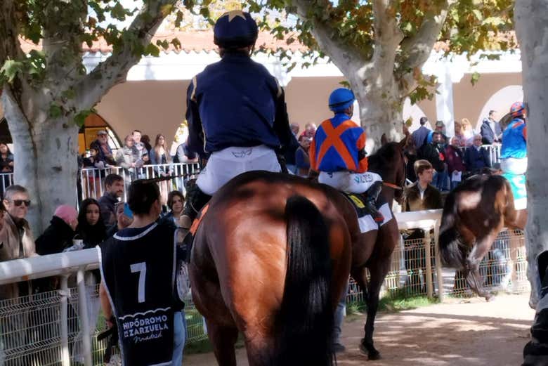 Veréis de cerca a los jinetes y a sus caballos