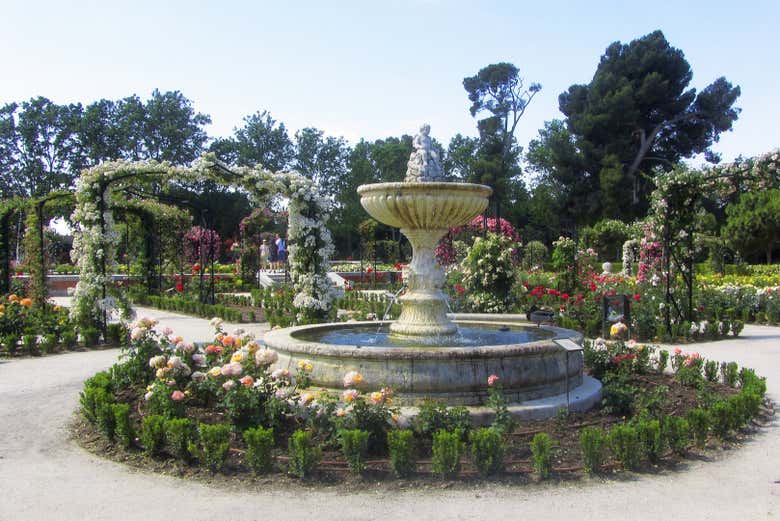 Disfrutaremos del embriagador aroma de las flores