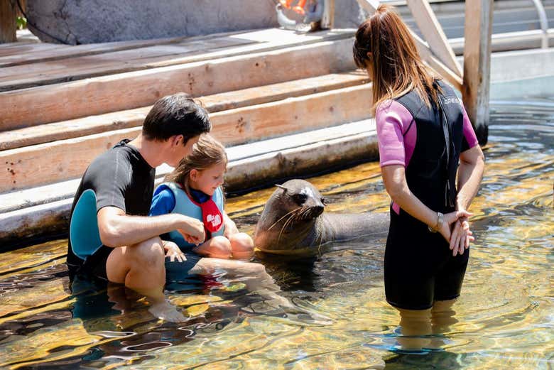 Conoceréis diferentes especies animales