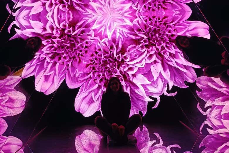 Flores en el Museo de la Luz