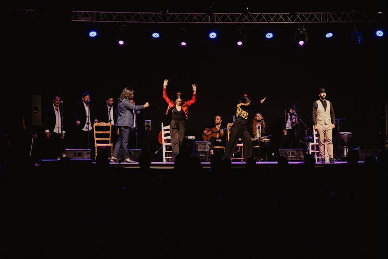 Assistez au spectacle de flamenco