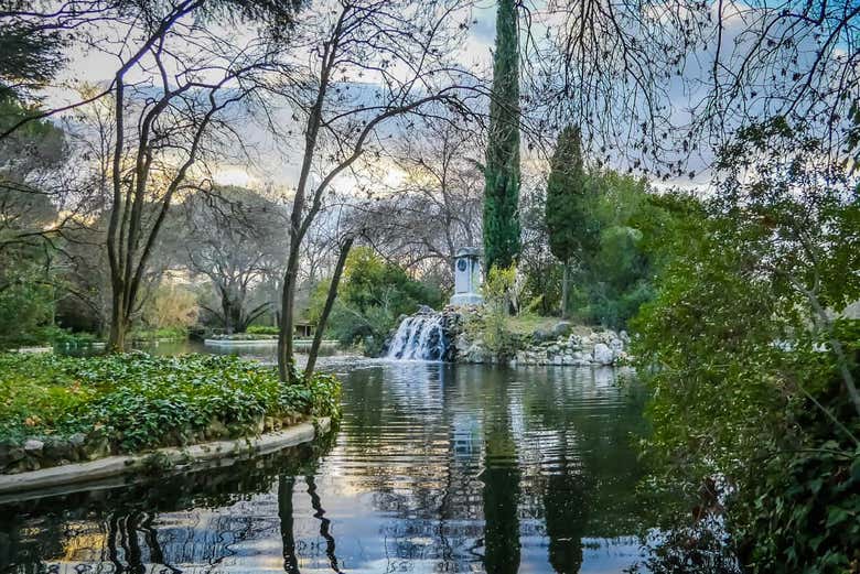 Estanque en el parque