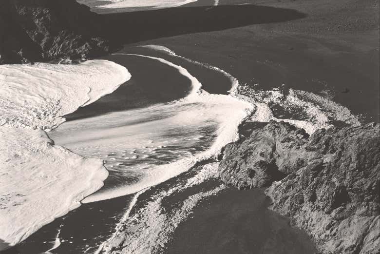Une photographie d'Edward Weston