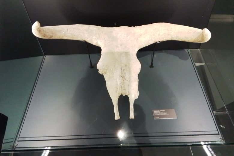 Restos arqueológicos